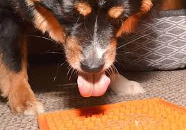 4 Best Lick Mats To Distract Your Dog
