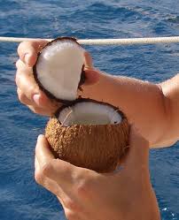 How to rip open a coconut husk. How To Open A Coconut 4 Steps With Pictures Instructables