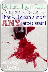 homemade carpet cleaner or shoo for