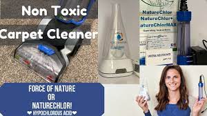 non toxic diy carpet steam cleaning