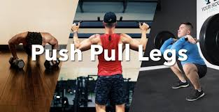 push pull legs ppl training split