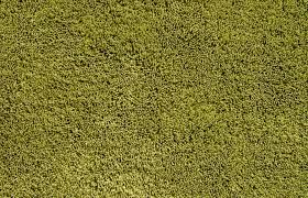 free stock photo of carpet texture