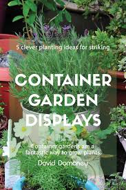 Striking Container Garden Displays
