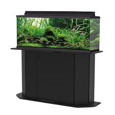A friend and i used to like to terrorize the local wal mart while we were in high school. Aqua Culture Deluxe 55 Gallon Aquarium Stand Walmart Com Walmart Com