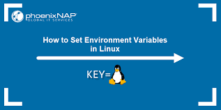 set environment variables in linux
