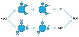 ion exchange water purification