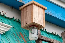 how to make a carpenter bee trap bob vila