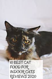 Best food for older indoor cats: 10 Best Cat Food For Indoor Cats Reviews 2020 Best Cat Food Indoor Cat Cool Cats