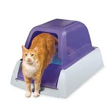 In this article, we'll identify the most important things to look for in cat litter, analyze the qualities of a few popular product types, and review our picks for the top 5 best litters for multiple cats. 7 Best Self Cleaning Litter Boxes Of 2021 Automatic Litter Box For Cats
