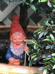 a history of the garden gnome