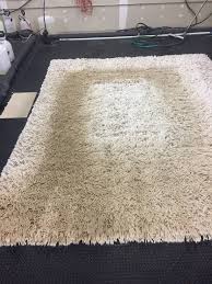 area rug cleaning