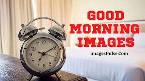 25 free good morning images