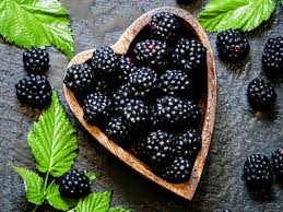 health benefits of blackberries you
