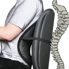 Mesh Back Support Lumbar Lower Back