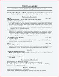 Classic Resume Template Word Download Modern Simple Instant