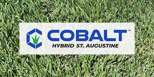 introducing cobalt hybrid st