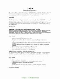 7 Simple Example Executive Summary Small Business Plan Pictures