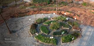 mandala garden grow more with less