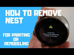 How To Remove Nest For Painting You