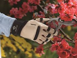 The Best Gardening Gloves You Can Buy