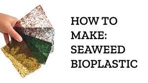 how to make algae seaweed bioplastic