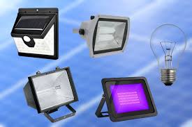 Do Solar Lights Attract Bugs Spheral