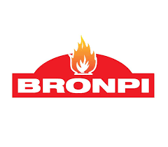 Resultado de imagen de bronpi