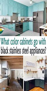 black stainless steel appliances