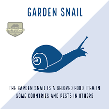 garden snail fact sheet c s w d