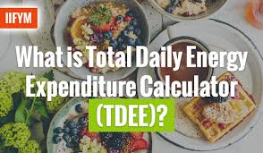 what is total daily energy expenditure