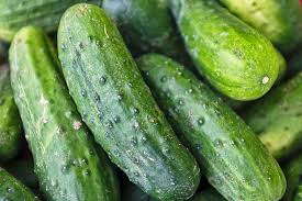 Beginner's Guide on How to Grow Cucumbers