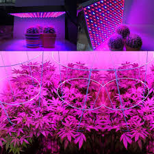 1000 Watt Red Led Grow Lamp For Cannabis And Marijuana Aluminum Body