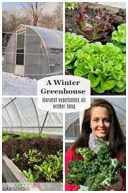 Check out our greenhouse vegetable selection for the very best in unique or custom, handmade pieces from our shops. A Winter Greenhouse How To Harvest Vegetables All Winter Winter Greenhouse Greenhouse Gardening Greenhouse Vegetables