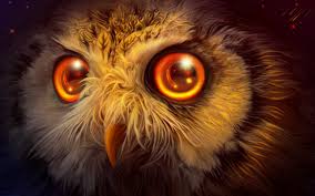 desktop wallpaper fantasy owl bird