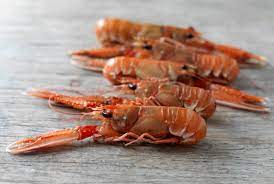 how to cook langoustine great british