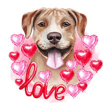Valentijnsdag american pit bull terrier met liefde en harten. leuke hond  minnaar puppy illustratie. | Premium Vector