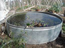 The Redneck Hippie Easy Water Gardening