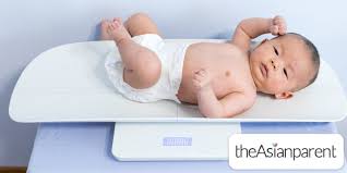 baby weight chart singapore guide to