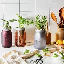 Modern Sprout Garden Jar Herb Kit By