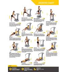 Fitness Exercises Confidence Fitness Vibration Plate Exercises