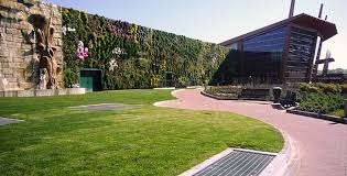 Largest Living Wall Flourishes