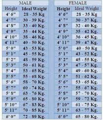 women weight chart images u p usp8