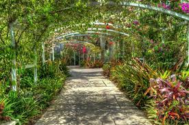 explore the naples botanical garden