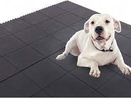 dog kennel rubber mat anti slip at rs