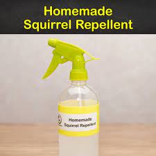 homemade squirrel repellent