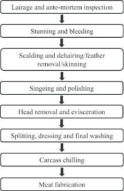 Flow Diagram Of Essential Abattoir Processing Steps In The