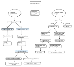 Amended Flow Chart For The Evaluation Of Anisocoria