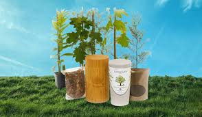 eco friendly urn options for pet ashes