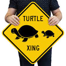 Turtle xing