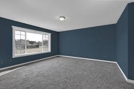 wall colors to complement a gray carpet